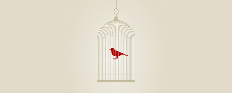 性能优异强劲的手机版ddos攻击器